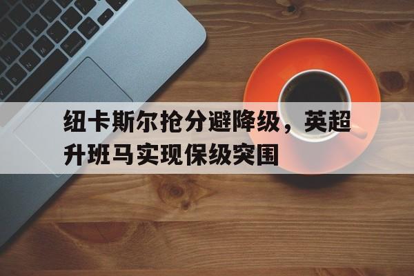纽卡斯尔抢分避降级，英超升班马实现保级突围